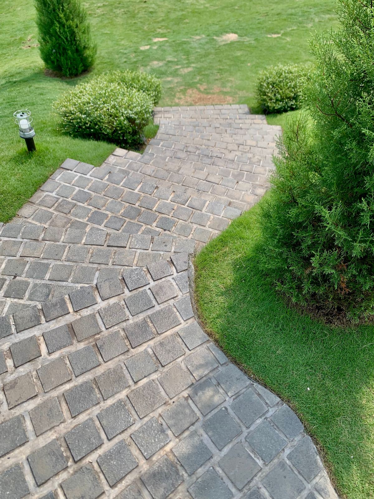Herringbone brick walkway curving through a manicured lawn